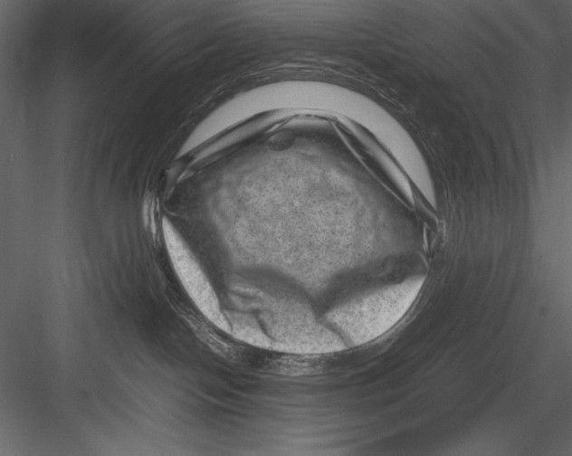 X0000082990094200702230111