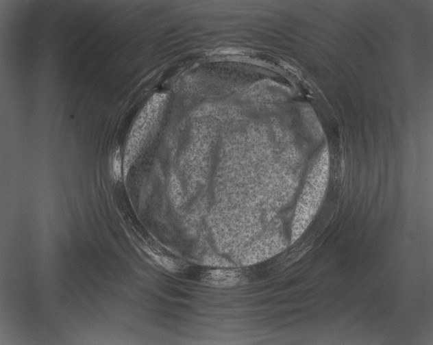 X0000082990095200702230112