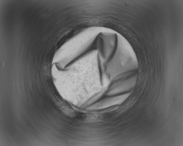 X0000082990096200702230112