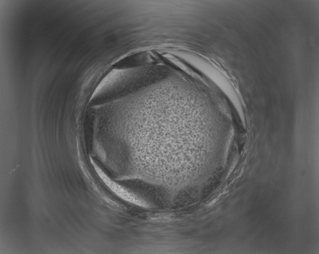 X0000082990097200702230111