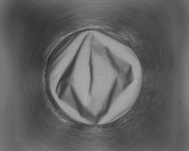 X0000082990098200702230111