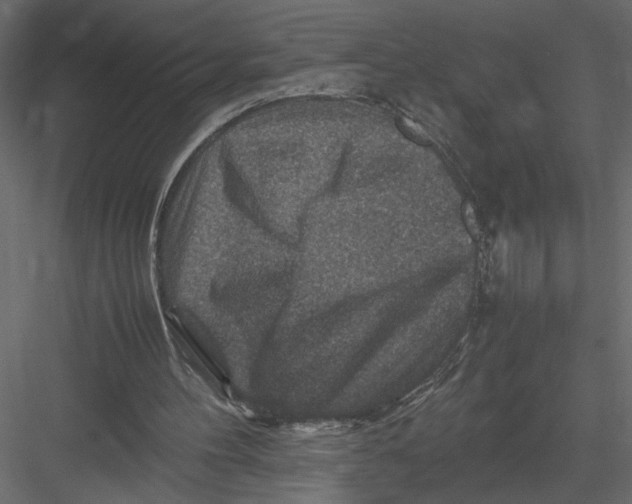 X0000082990100200702230111