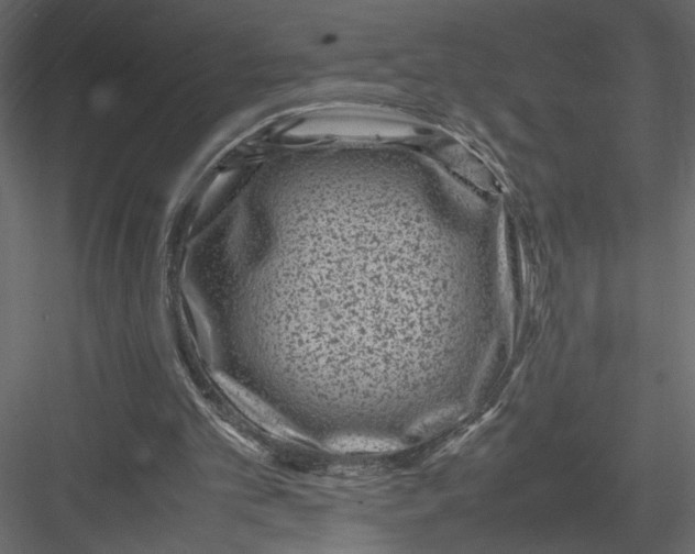 X0000082990101200702230111