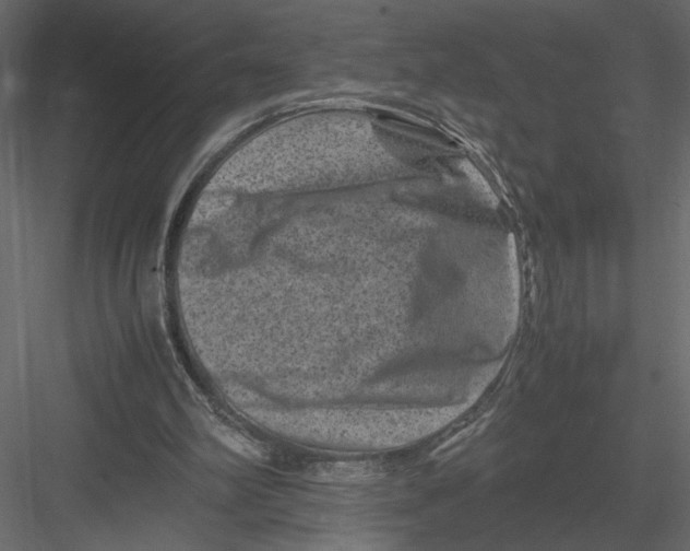 X0000082990102200702230111