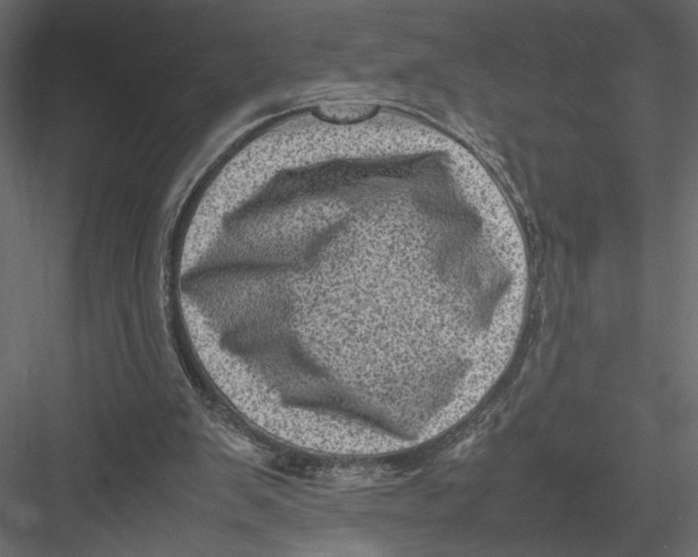 X0000082990103200702230111