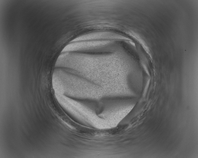 X0000082990105200702230111