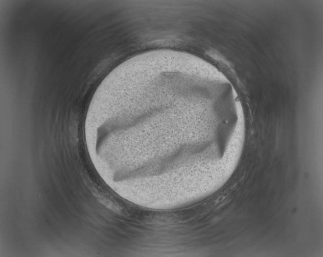 X0000082990106200702230111