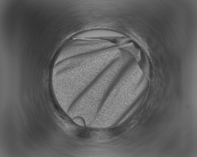 X0000082990107200702230111