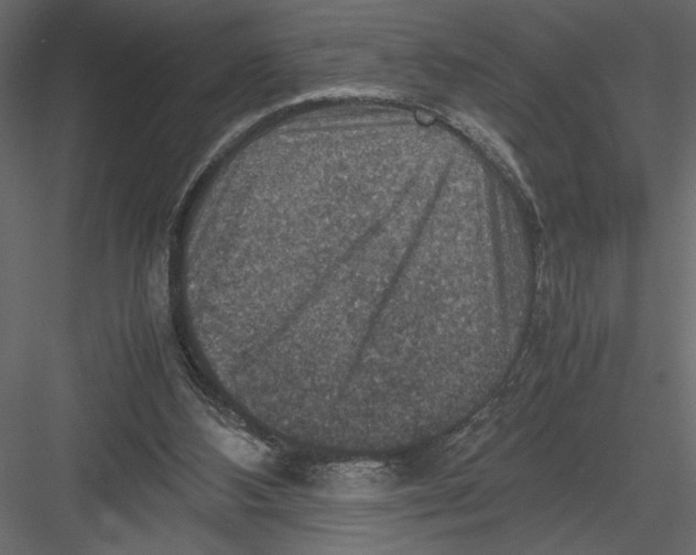 X0000082990108200702230111