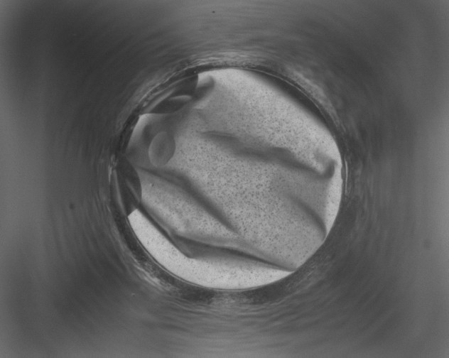 X0000082990109200702230110