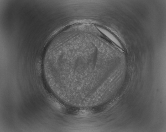 X0000082990111200702230110