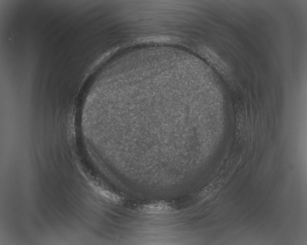 X0000082990112200702230110