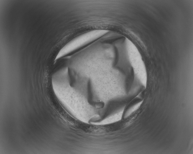 X0000082990113200702230110