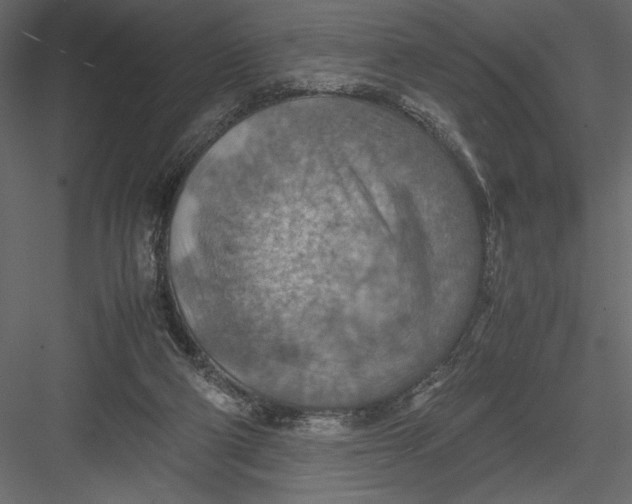 X0000082990114200702230110