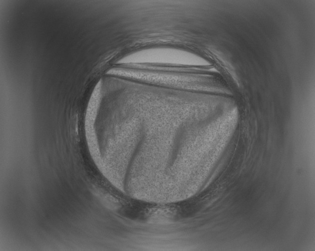 X0000082990115200702230110