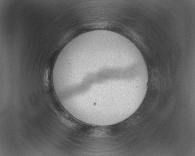 X0000082990118200702230110