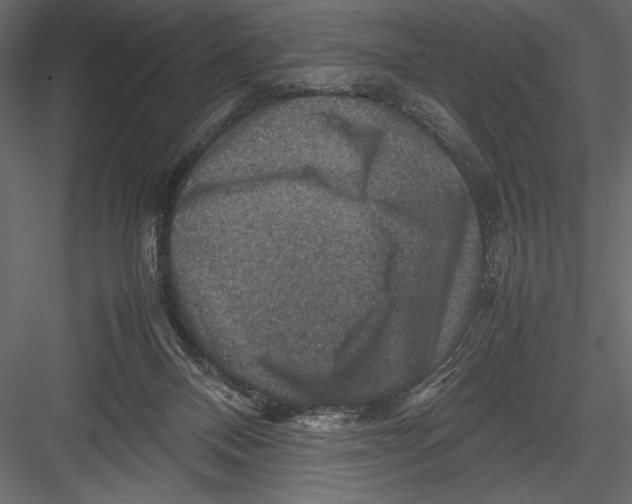 X0000082990120200702230110