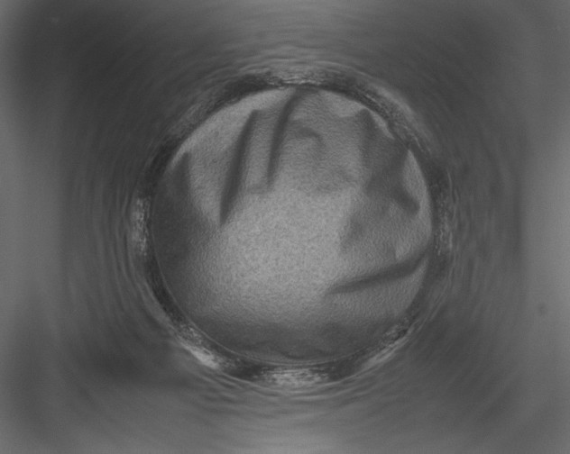 X0000082990121200702230110