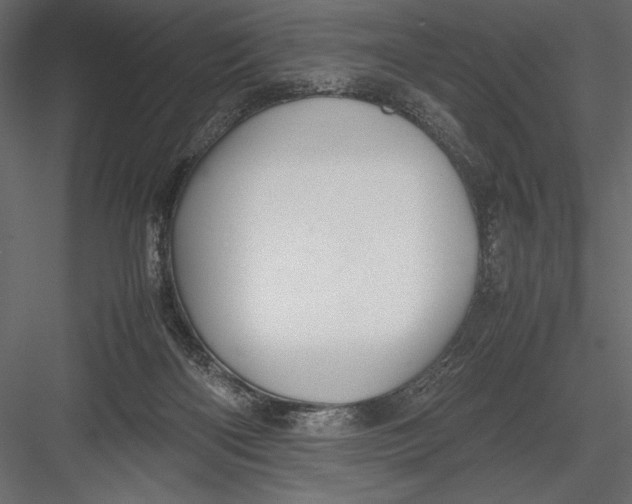 X0000082990122200702230110