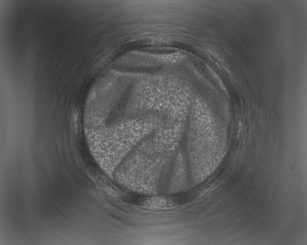 X0000082990123200702230110