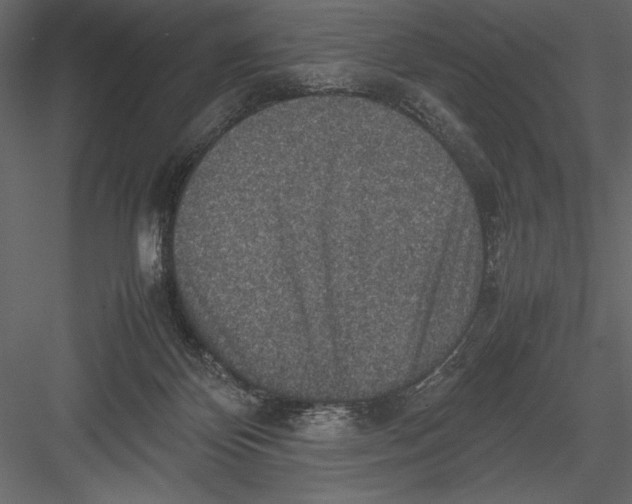 X0000082990124200702230110