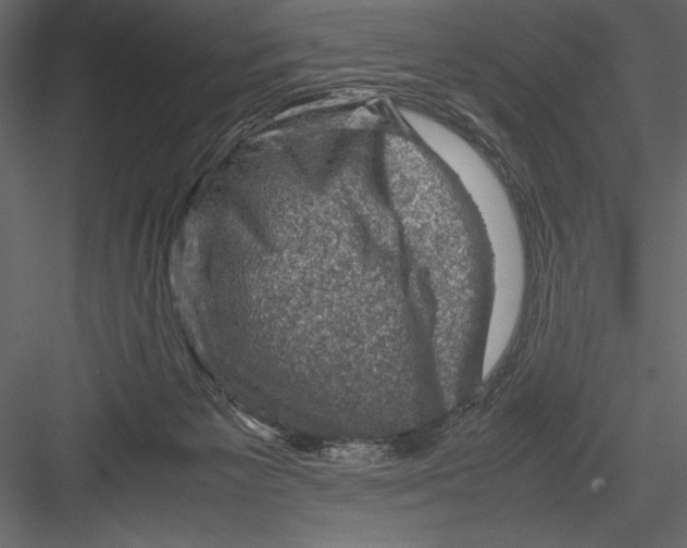 X0000082990125200702230110