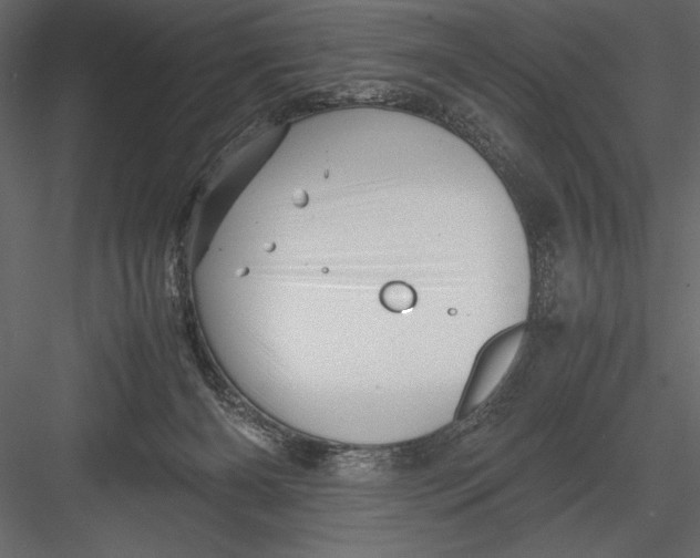 X0000082990126200702230110