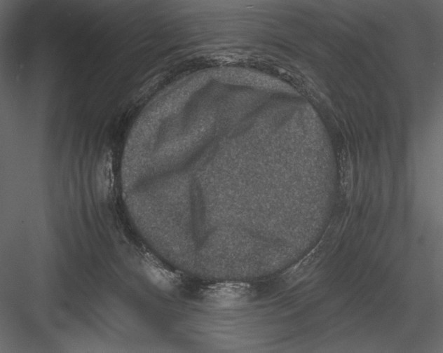 X0000082990128200702230110