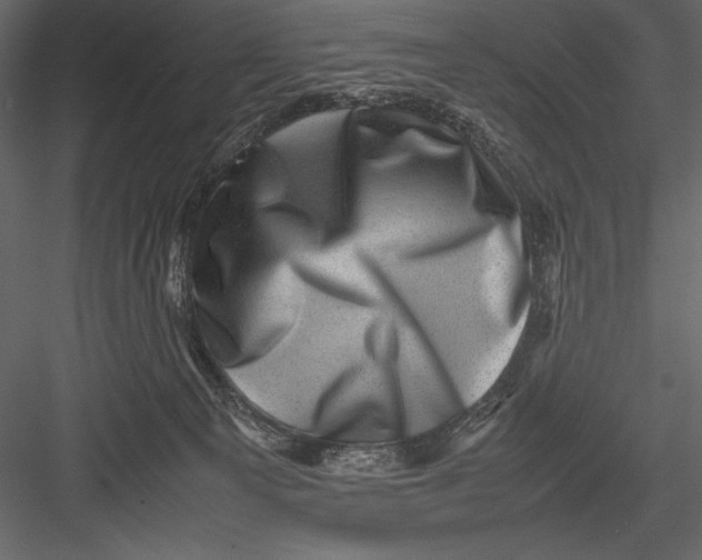 X0000082990129200702230110