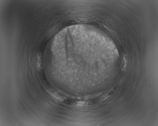 X0000082990130200702230110