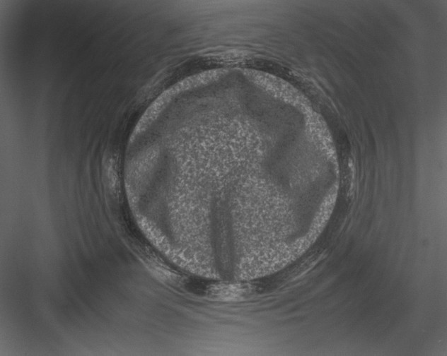 X0000082990131200702230110