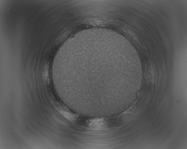 X0000082990132200702230110