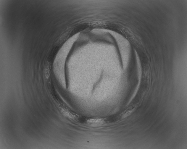 X0000082990133200702230110