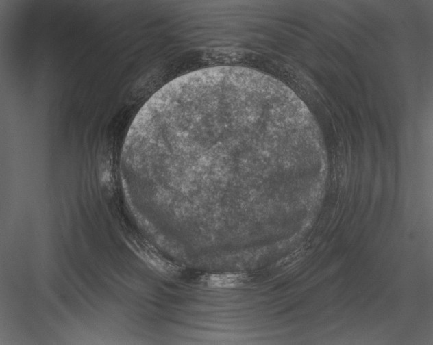 X0000082990134200702230110