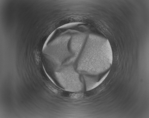 X0000082990135200702230110