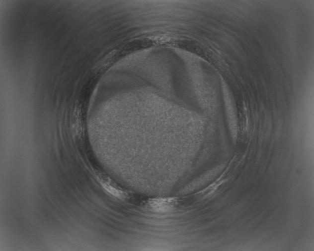 X0000082990136200702230110