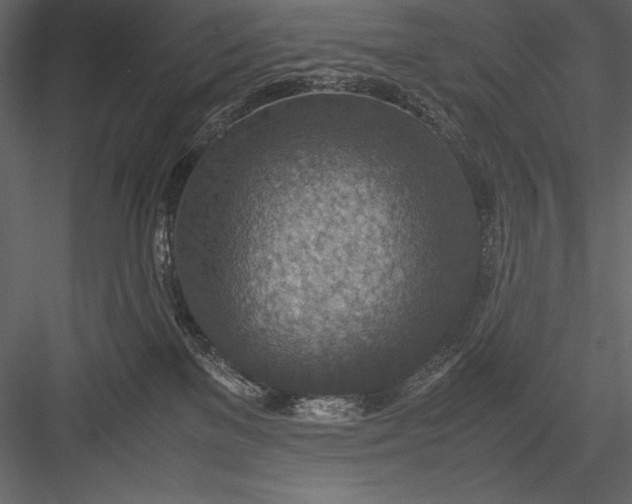 X0000082990137200702230110