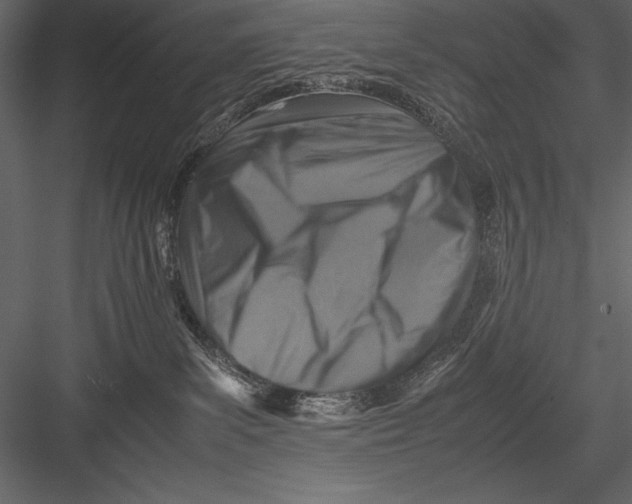 X0000082990139200702230110