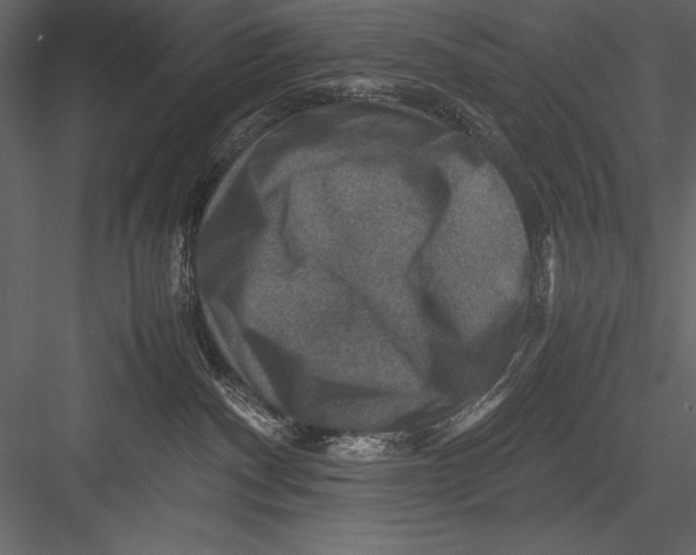 X0000082990140200702230110