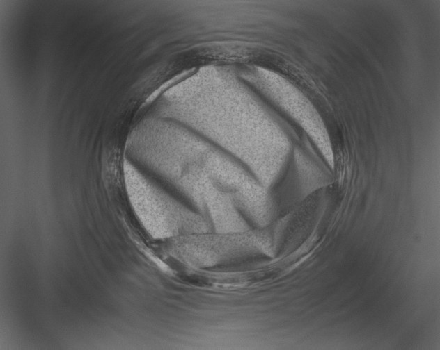 X0000082990141200702230110