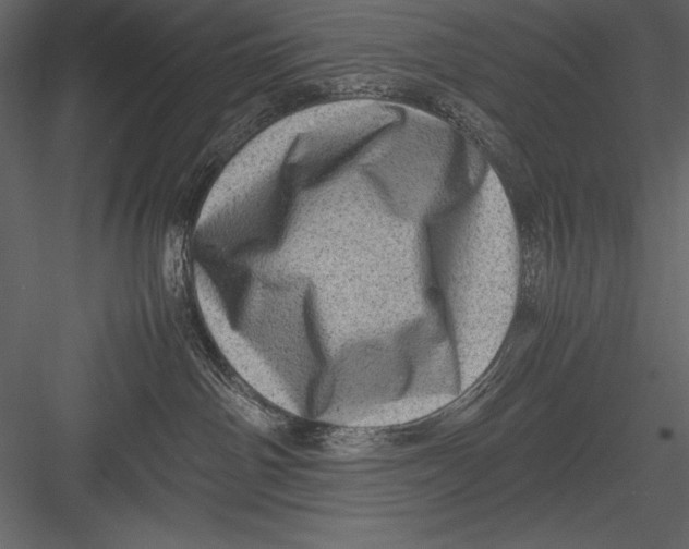 X0000082990142200702230110