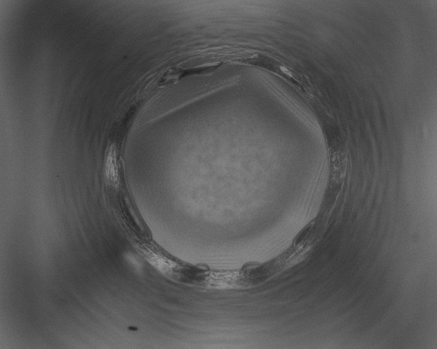 X0000082990143200702230110