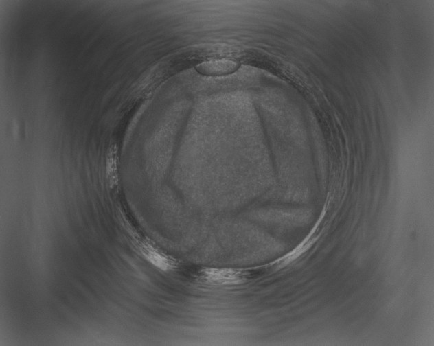 X0000082990144200702230110