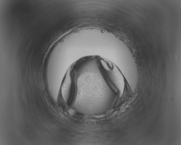 X0000082990146200702230109