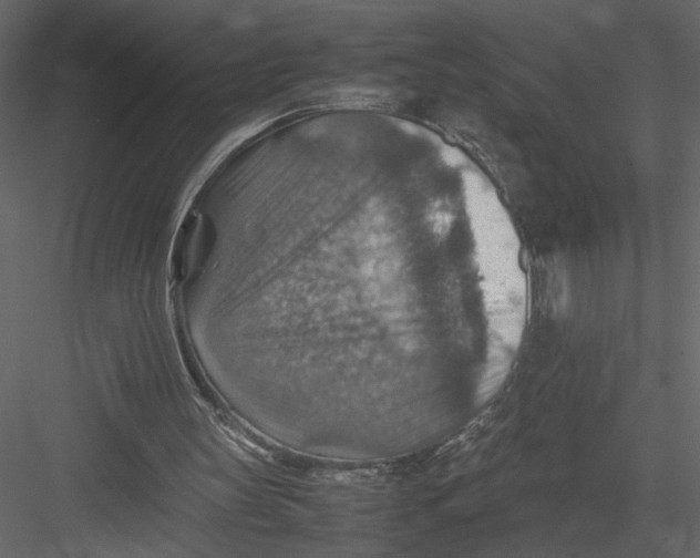 X0000082990147200702230109