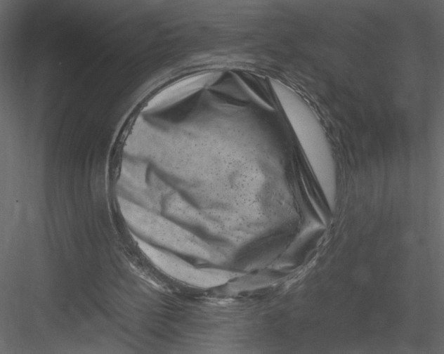 X0000082990148200702230109