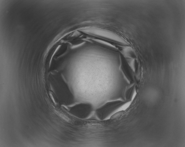 X0000082990150200702230109