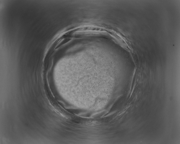 X0000082990152200702230109