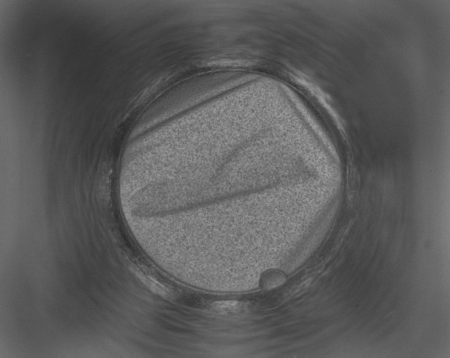 X0000082990153200702230109