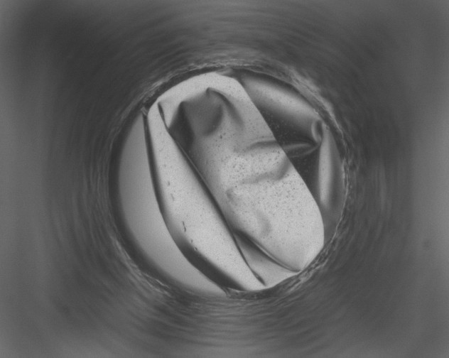 X0000082990154200702230109